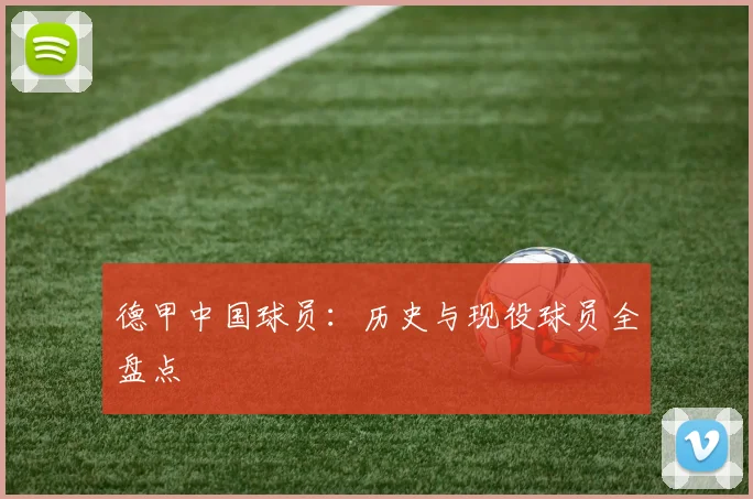 德甲中国球员:历史与现役球员全盘点